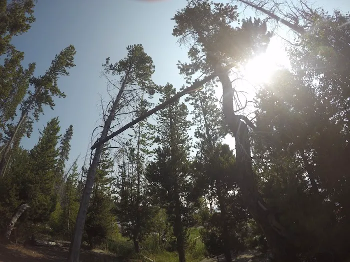 Flat Mountain Arm North Picture 8