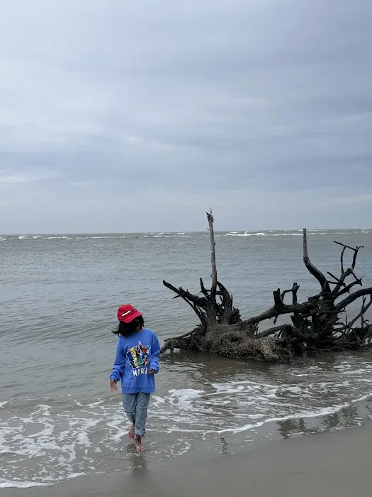 Lighthouse RV Park & Marina Picture 5