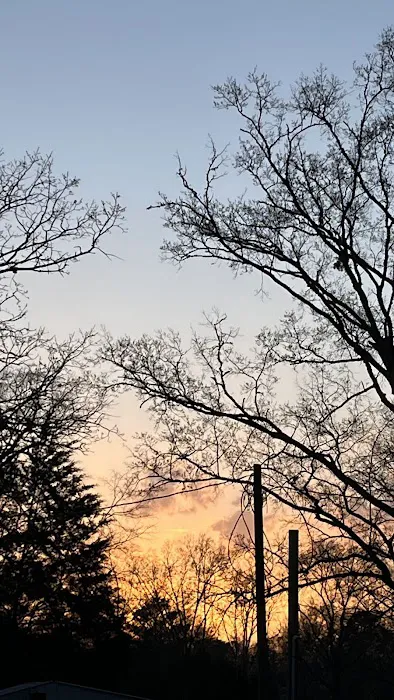 Lighthouse RV Park & Marina Picture 6