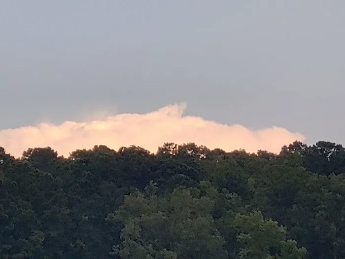 Lighthouse RV Park & Marina Picture 8