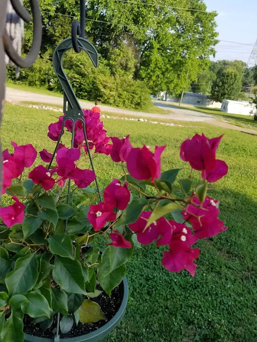 Allendale Mobile Home Park Picture 1