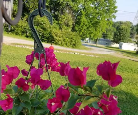 Allendale Mobile Home Park