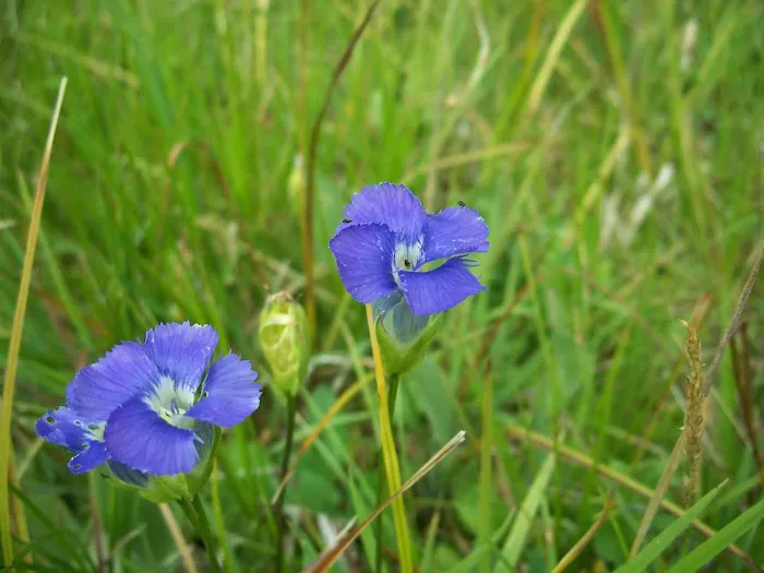 Plover Bay Picture 1