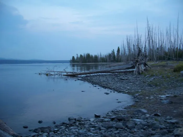 Plover Bay Picture 4