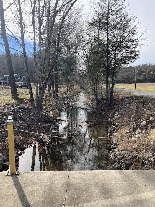 Dragon Mountain RV & Cabin Resort Picture 3