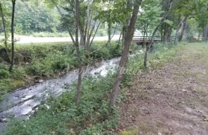 Dragon Mountain RV & Cabin Resort Picture 1