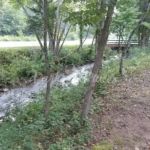 Dragon Mountain RV & Cabin Resort