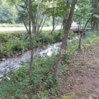 Dragon Mountain RV & Cabin Resort ico