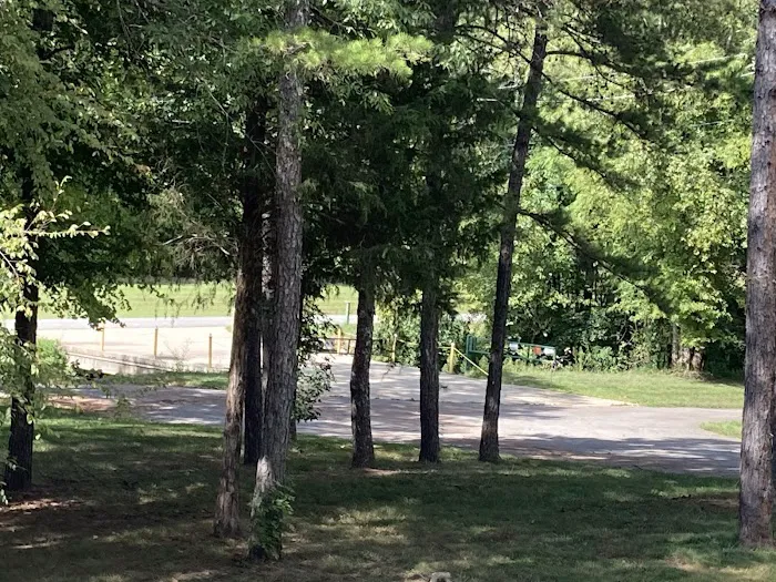 Dragon Mountain RV & Cabin Resort Picture 8