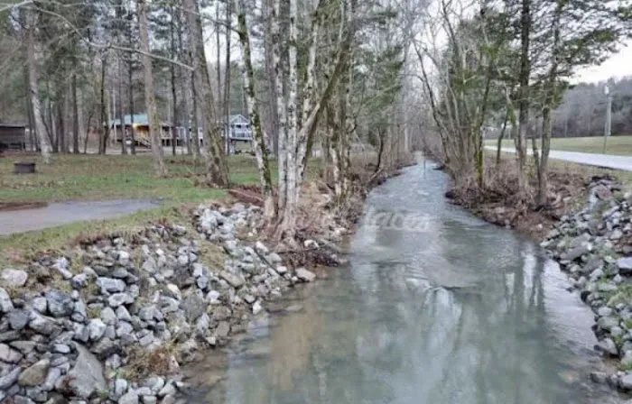 Dragon Mountain RV & Cabin Resort Picture 4