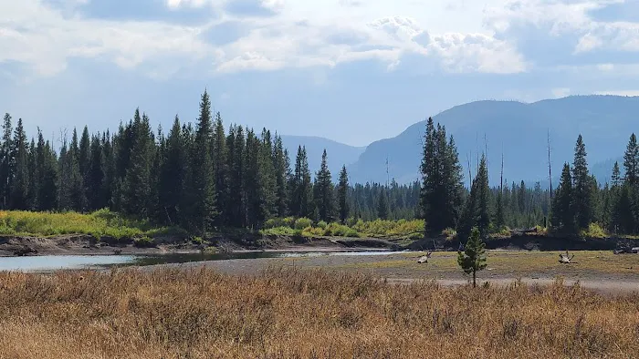 Yellowstone Meadows 6Y7 Picture 1