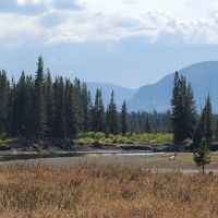Yellowstone Meadows 6Y7 ico