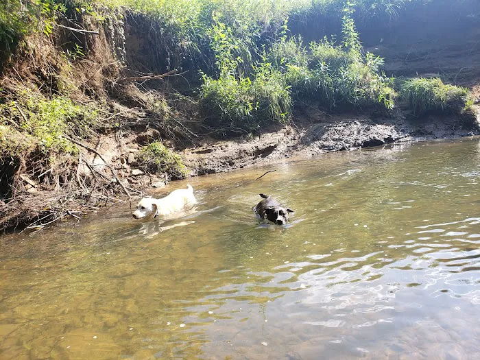 Rivers Edge Mountain RV Resort Picture 6