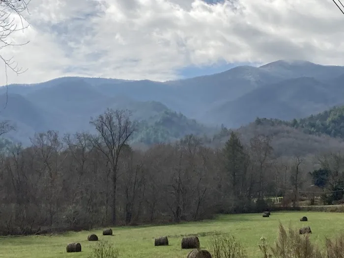 Hiawassee RV Campground Picture 7