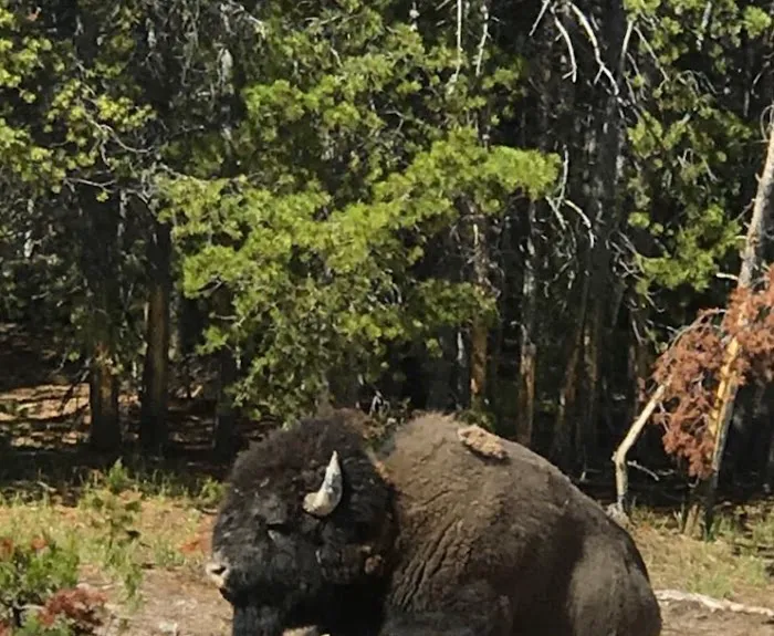 Brimstone Point Picture 2