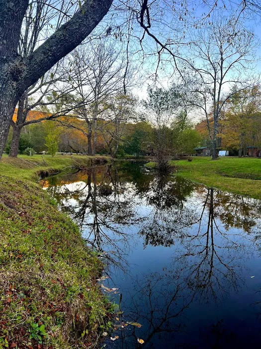 Persimmon Creek RV Park Picture 2