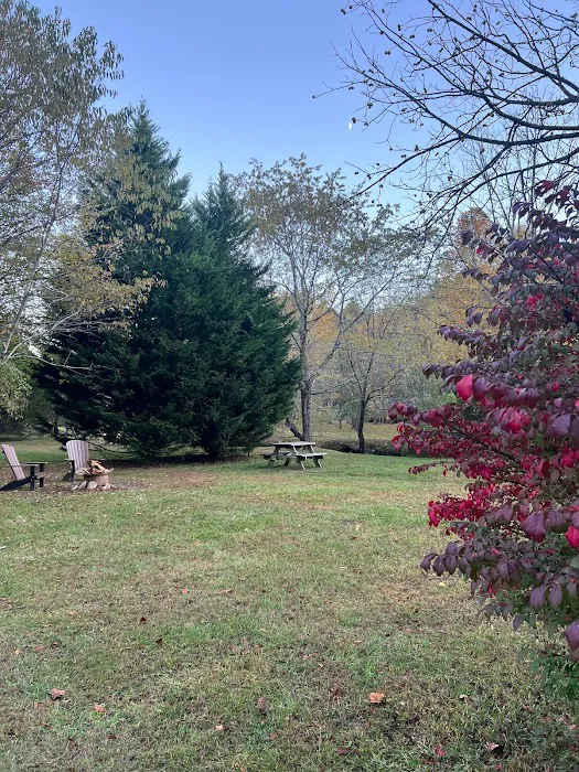 Persimmon Creek RV Park Picture 8