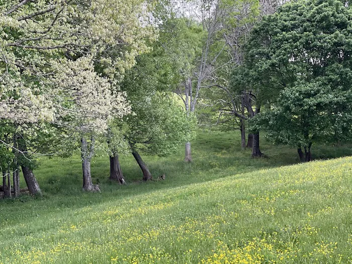 Foxfire of Murphy RV Park Picture 8