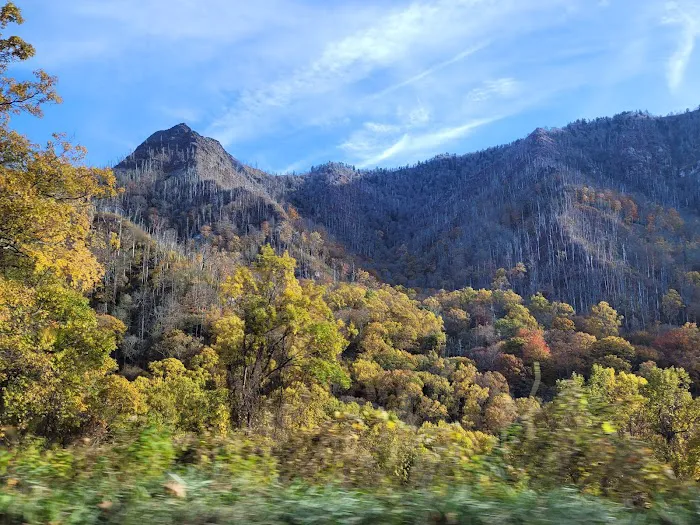 Lake Nottely RV Park Pavilion Picture 9