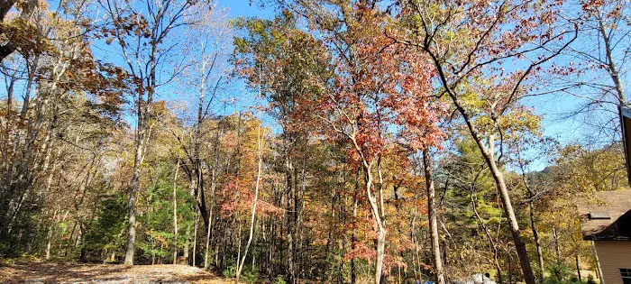 Lake Nottely RV Park Pavilion Picture 10