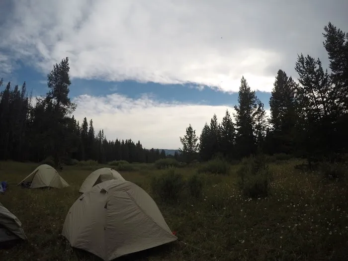 Beaverdam Meadow Picture 2