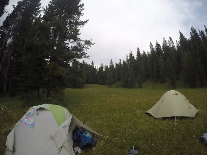 Beaverdam Meadow Picture 8