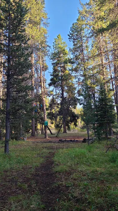 Beaverdam Meadow Picture 5