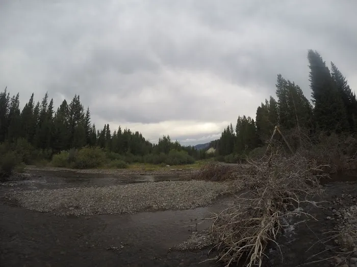 Beaverdam Meadow Picture 4