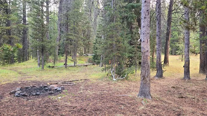 Beaverdam Meadow Picture 3