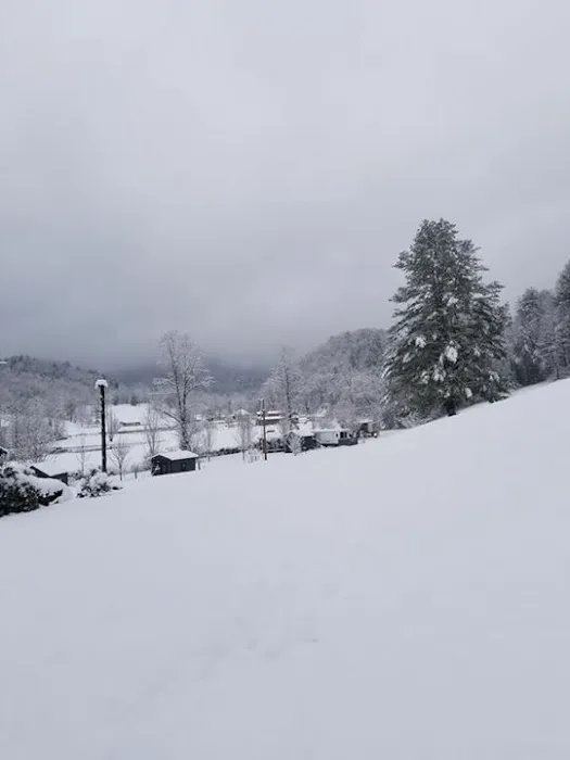 Sunset Valley RV Park Picture 8