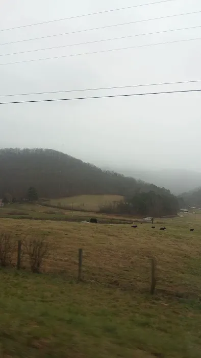 Choestoe Valley RV Park Picture 1