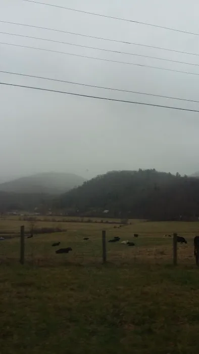 Choestoe Valley RV Park Picture 4