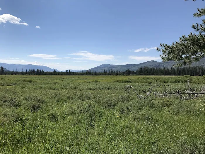 Howell Creek 6D6 Picture 3