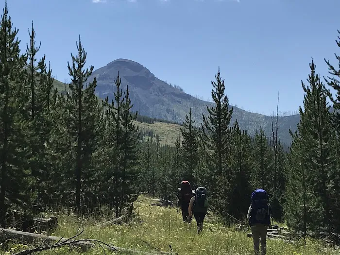 Howell Creek 6D6 Picture 5