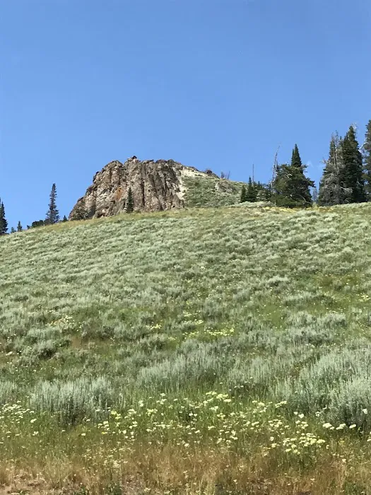 Howell Creek 6D6 Picture 9