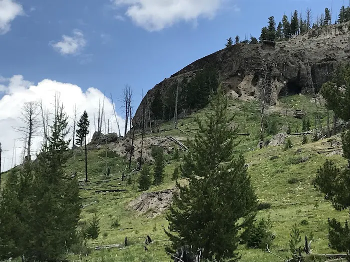 Howell Creek 6D6 Picture 6