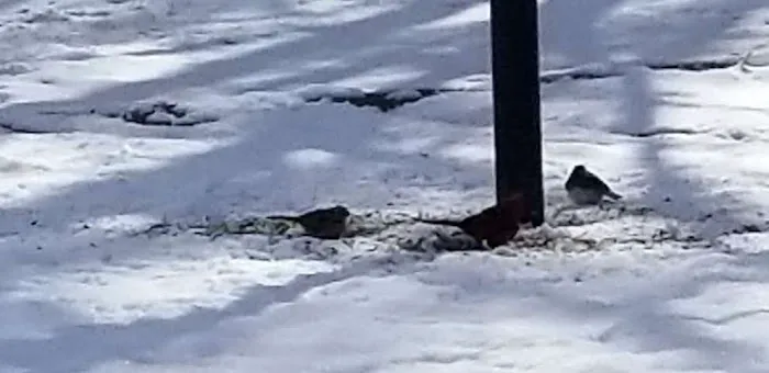 Twin Creeks RV Park Picture 4