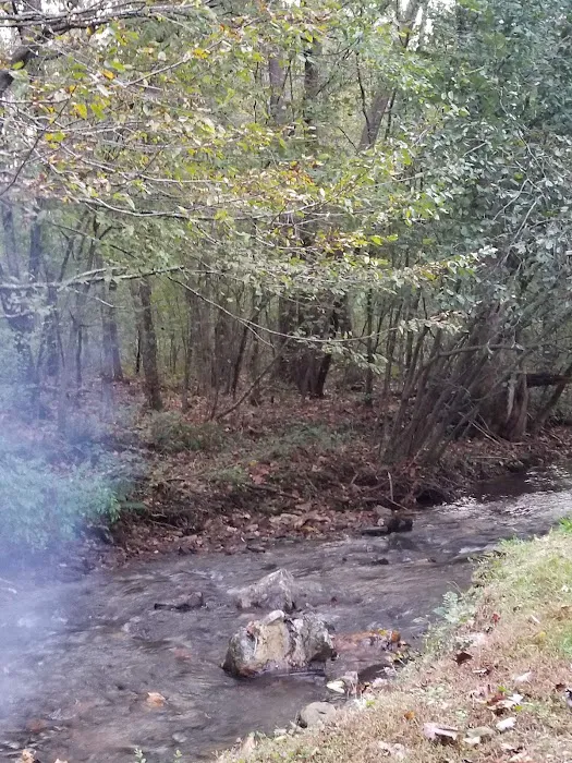 Twin Creeks RV Park Picture 7