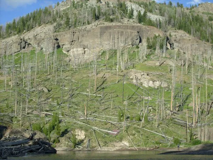 Upper Ford 6B2 Picture 2