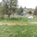 Trail Creek Bridge Campground