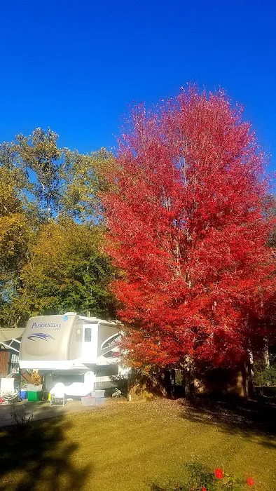 River's Edge RV Park Picture 2