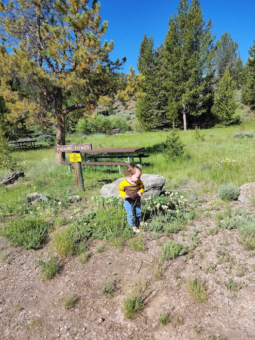 Horse Creek Campground Picture 2