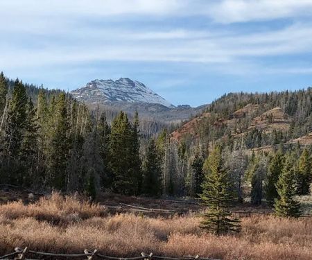 Horse Creek Campground