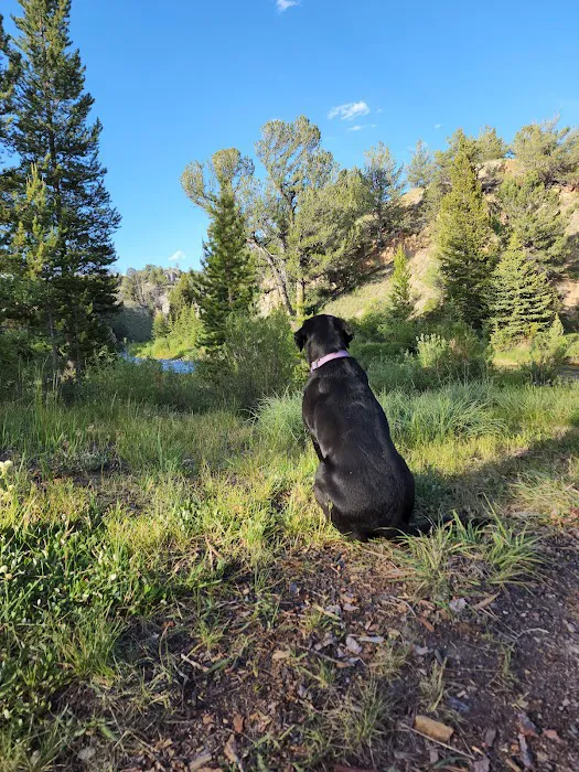 Horse Creek Campground Picture 5