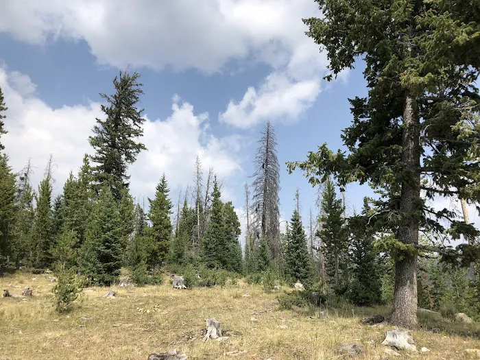 Horse Creek Campground Picture 4