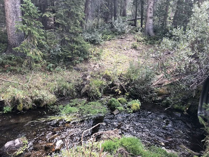 Horse Creek Campground Picture 9