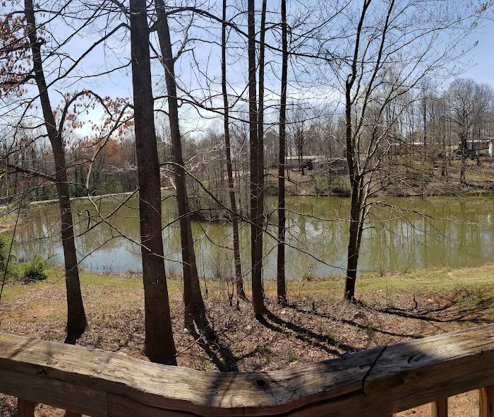 Mossy Acres Picture 3