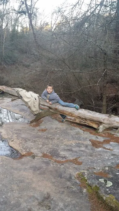 Mossy Acres Picture 2