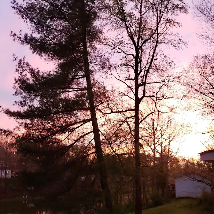 Mossy Acres Picture 1