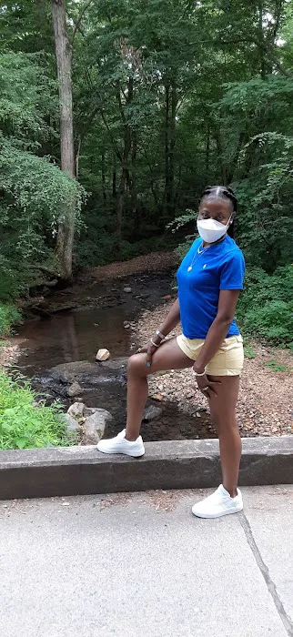 Mossy Acres Picture 4